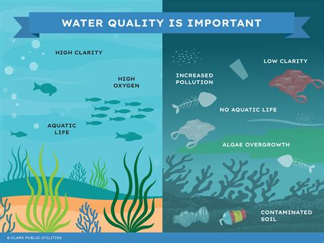 areas with low water quality